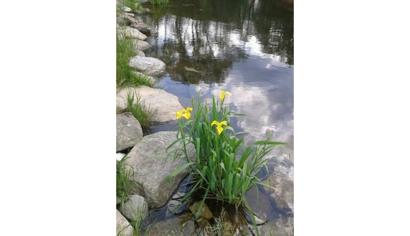 Penzion U Bořka Bělá pod Pradědem